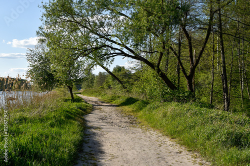 Dirt Path Along Riverbank with Overhanging Trees