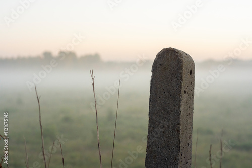 Foggy Countryside Meadow at Sunrise