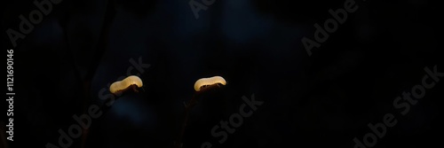 A solitary glowworm perched on the tip of a twig, its soft light casting an intimate ambiance in the surrounding foliage, luminescence, insect life photo