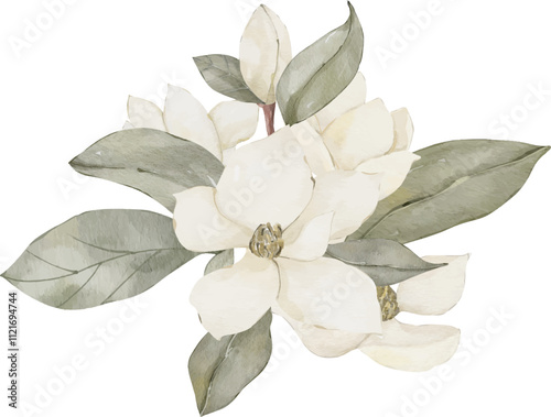 Watercolor elegant white flower bouquet