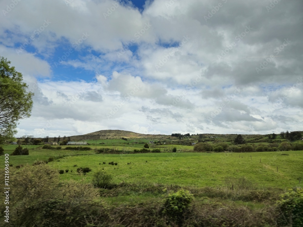 Fototapeta premium Clear Sky Over Grassland with Trees and Cumulus Clouds
