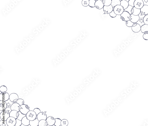 Berries graphic line frame template. Vector Banner of blueberries. Hand painted horizontal border for greeting card with space for text.