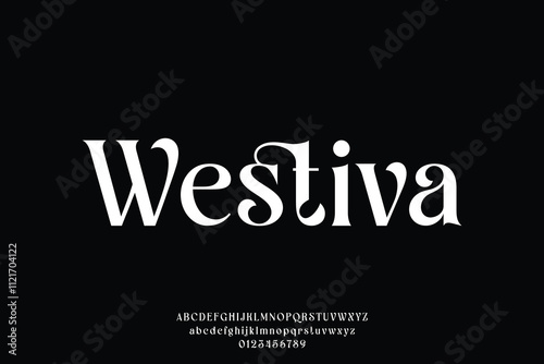 Beautiful elegant decorative serif alphabet display font vector illustration