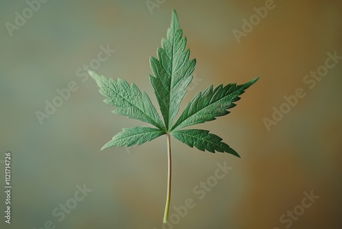 A single cannabis leaf, vibrant green, delicately detailed against a muted background.