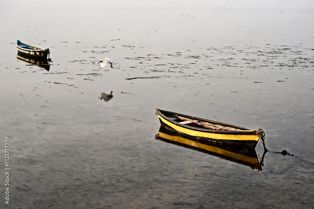 Colorful boats resting at low tide in Diu, Gujarat