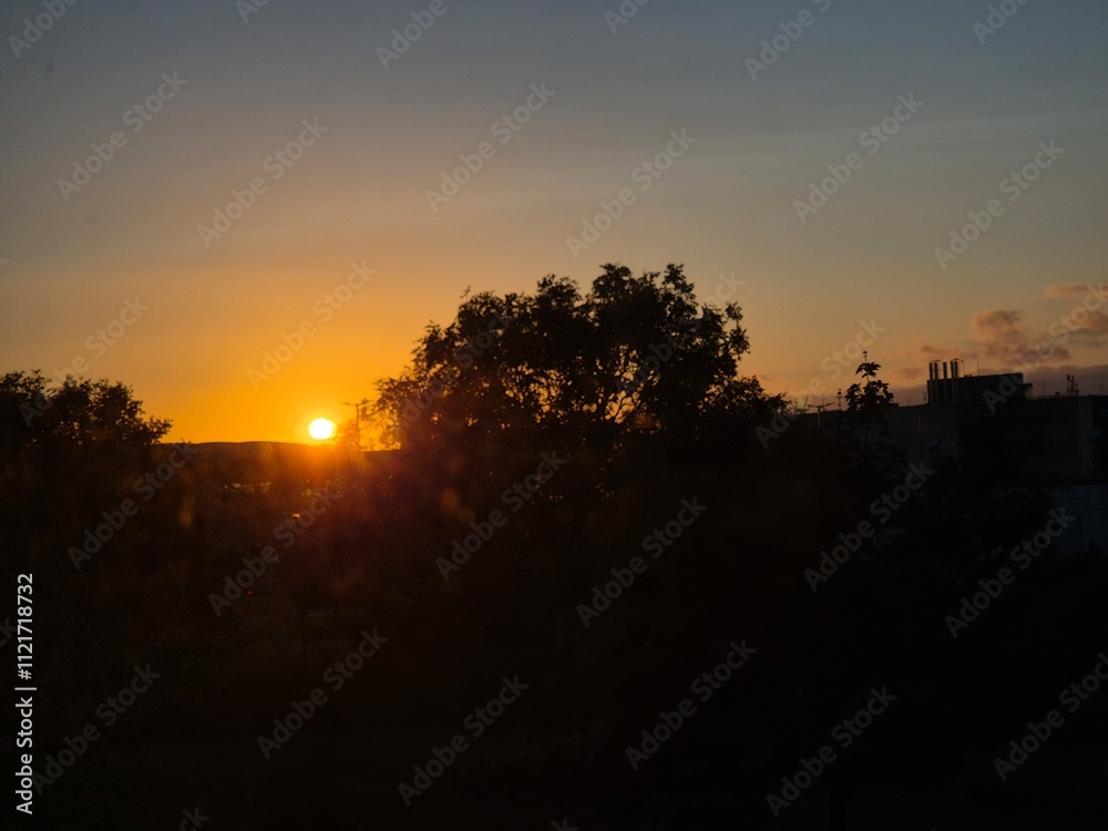 Obraz premium Sunrise in Amber Sky with Trees and Afterglow
