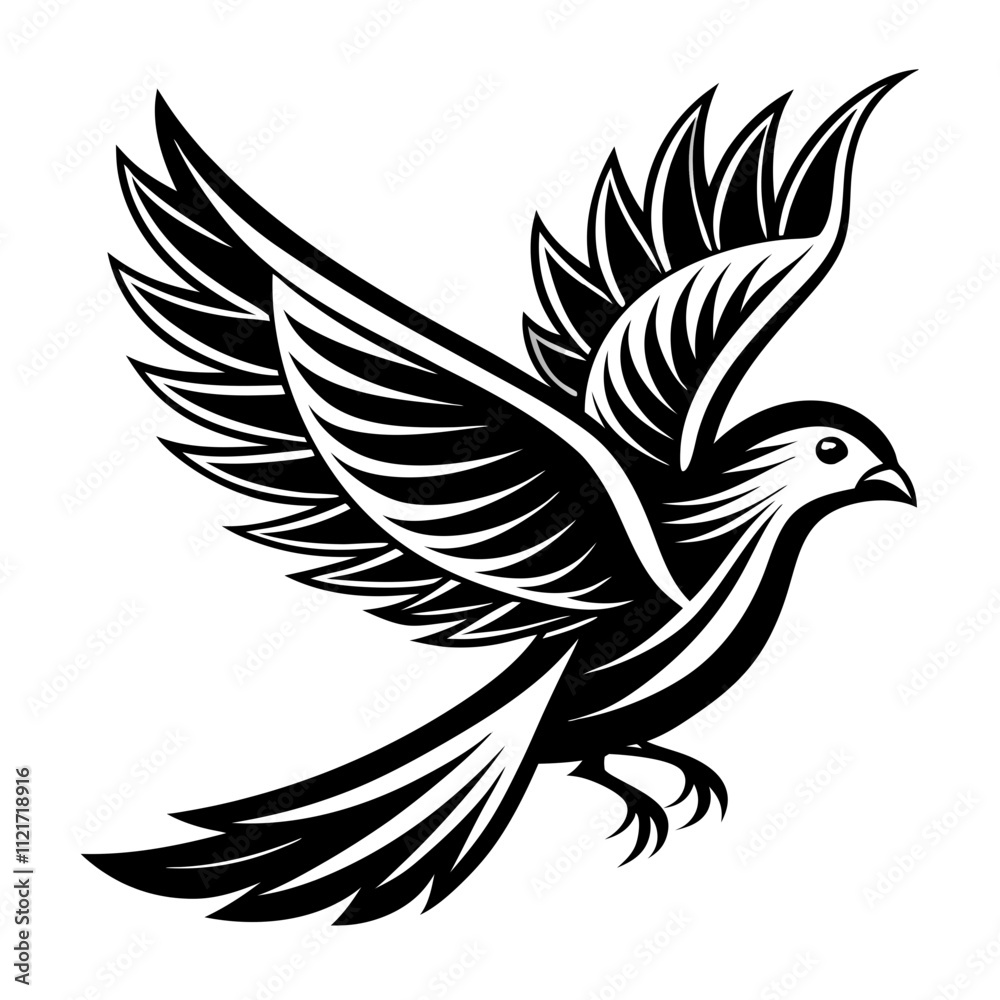 Fototapeta premium Mourning Dove silhouette