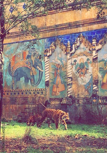 Tiger with Exotic Background 