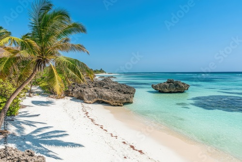 High Definition Visual of Tropical Seascape,Zanzibar Island, High Detail, 8K