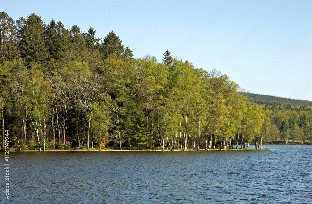 Lac des Séttons, Parc naturel régional du Morvan, 58, Nièvre, France