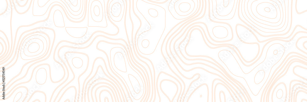 Abstract geographic mountain relief. lines background vector. Topo map with elevation. Abstract geographic mountain relief. lines background vector. Topo map with elevation.