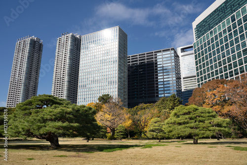 Japan, Tokyo, Hamarikyu Garden in momiji season. photo