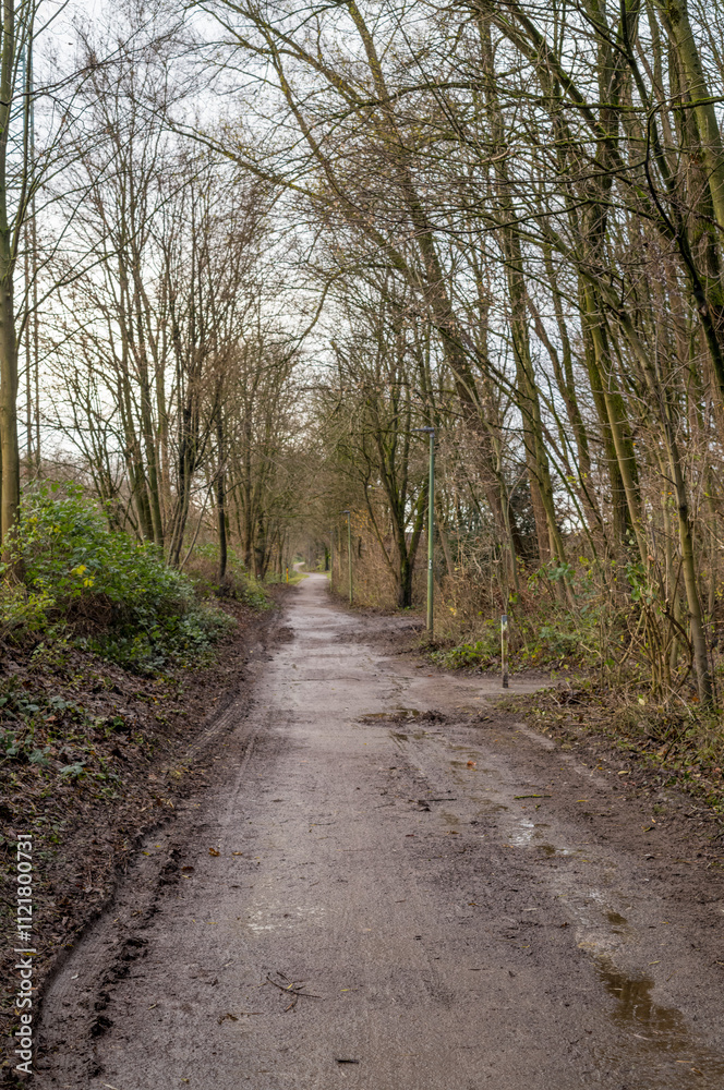 Deserted muddy path winding through bare trees in winter Deserted muddy path winding through bare trees in winter