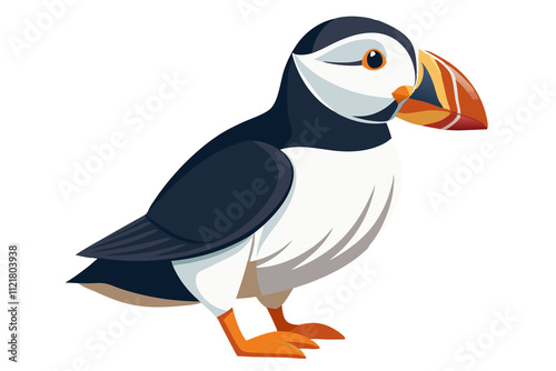 Atlantic Puffin bird art work illustration  photo