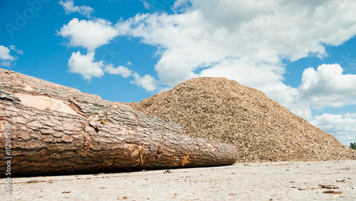 a pile of logs close-up in the background a pile of wood chips and a blue sky photo