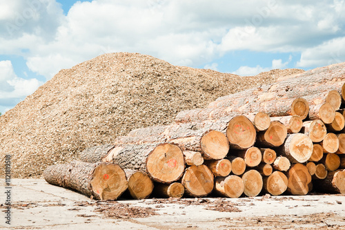 logs and wood chips against a background of blue sky and clouds photo