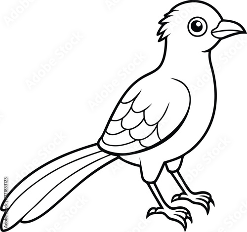 cute asian koel line art silhouette photo