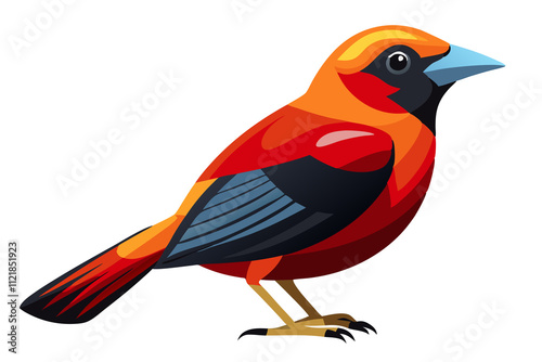 Brazilian Tanager art work illustration
