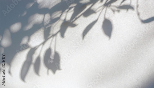 Abstract silhouette shadow white background of natural leaves tree branch cast on wall. Transparent blurry shadows leaf in morning sun light.