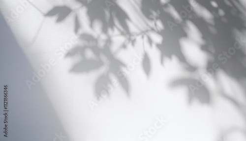 Abstract silhouette shadow white background of natural leaves tree branch cast on wall. Transparent blurry shadows leaf in morning sun light.
