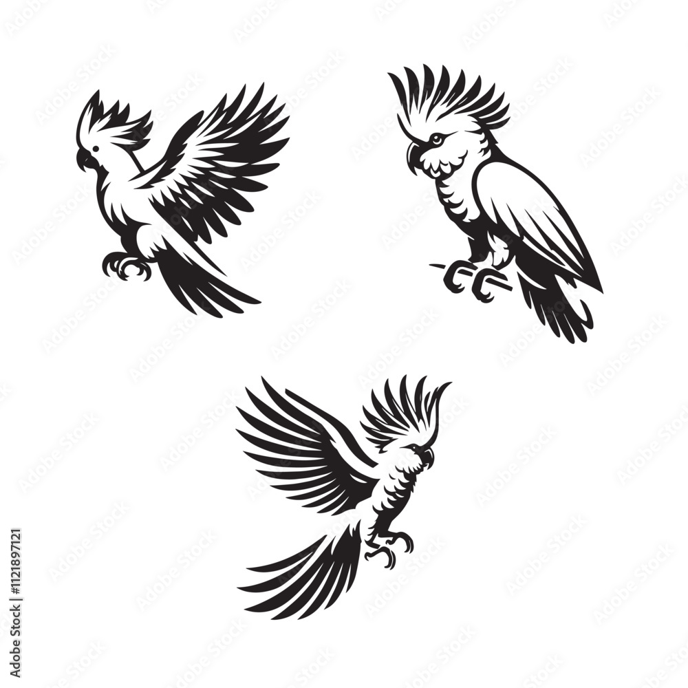 Obraz premium Cockatoo Silhouette Vector Set – Exotic Bird Illustrations for Creative Design