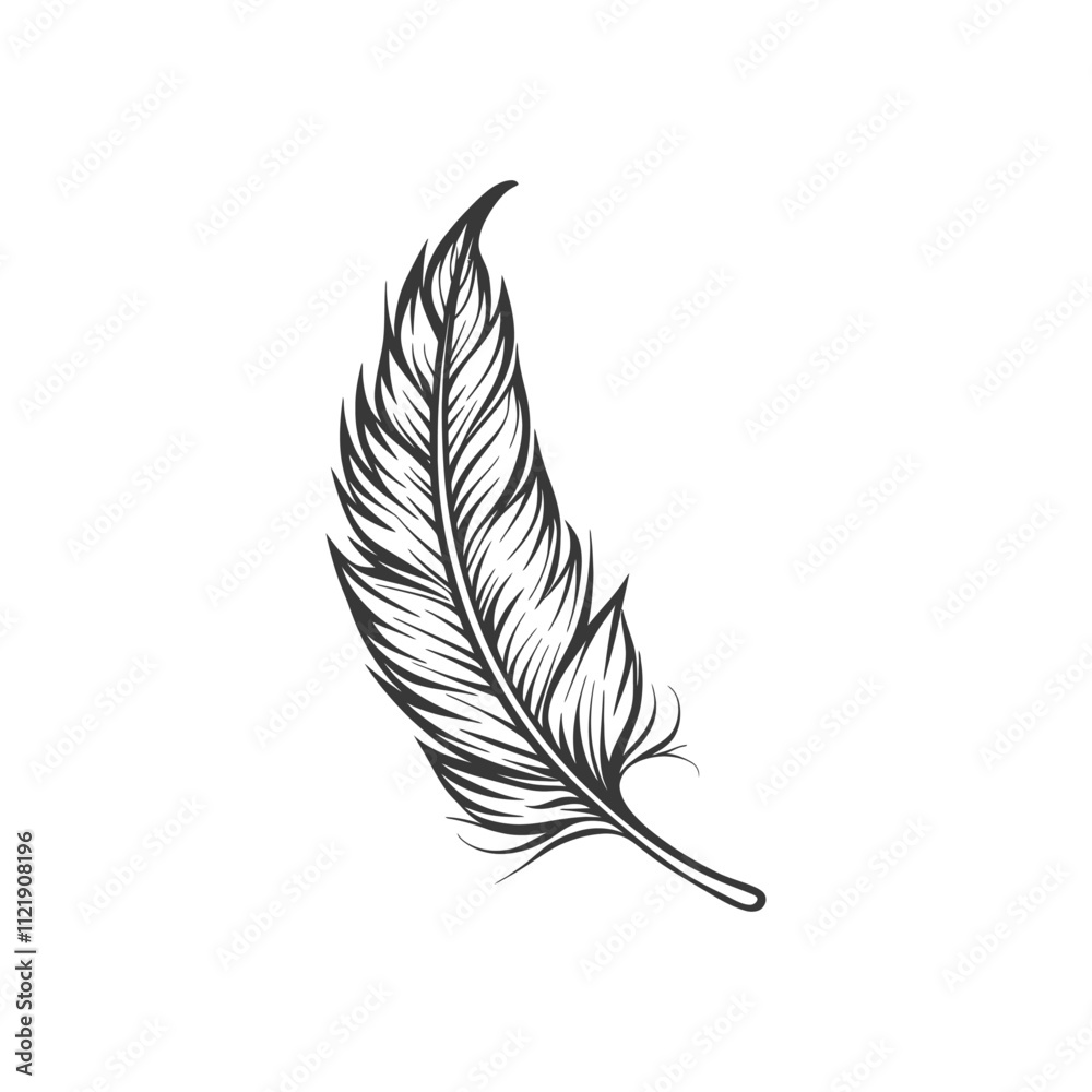 Fototapeta premium A Hand Drawn Outline Of A Single Feather