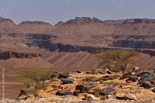 Africa, Mauritania. Rocky fragments of volcanic origin on the rocky plateau of the Agro Natural Park on the southwestern edge of the Sahara Desert. photo