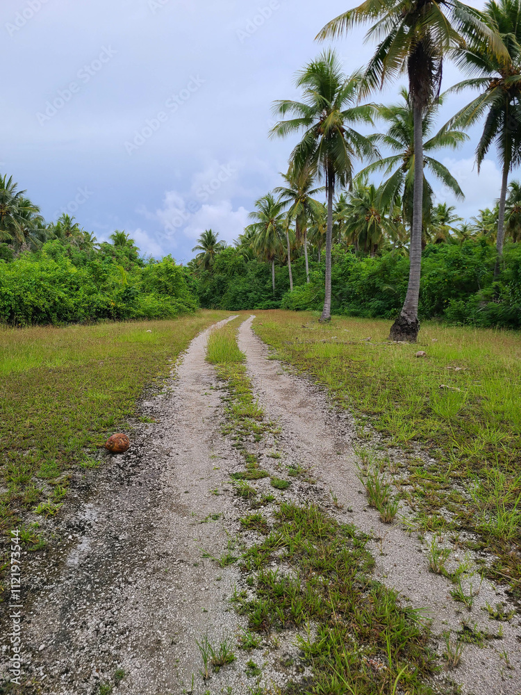 Fototapeta premium Beach path on a tropical island