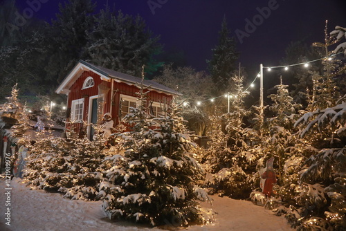 Christmas in Europa park, Germany photo