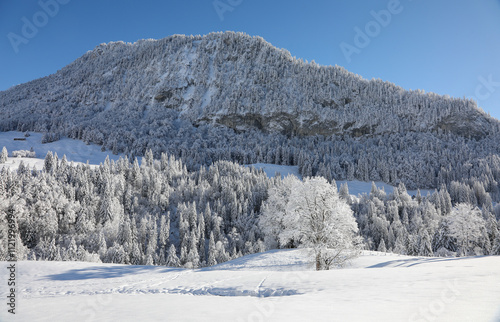 Winter hiking in Allières in the canton of Vaud, Switzerland photo