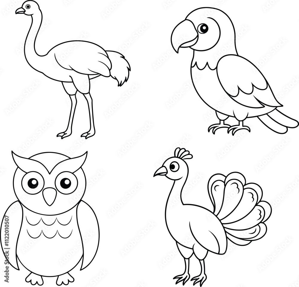 Fototapeta premium A Set Of Birds Line Art Illustration