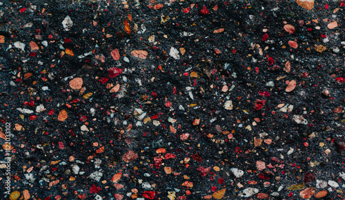 Vivid Terrazzo Texture with Multicolored Stone Fragments