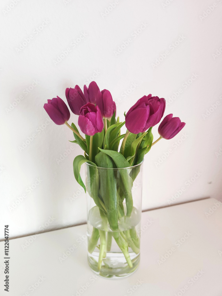 Fototapeta premium A simple still life with purple tulips in a transparent vase. Minimalist design against a white background that exudes elegance and freshness