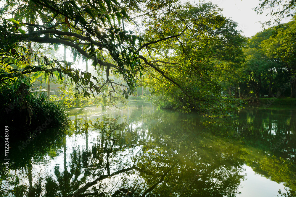 Enchanting pond surrounded by lush greenery and overhanging branches in a serene natural setting, capturing the peaceful beauty of Sri Lanka's tropical landscape.