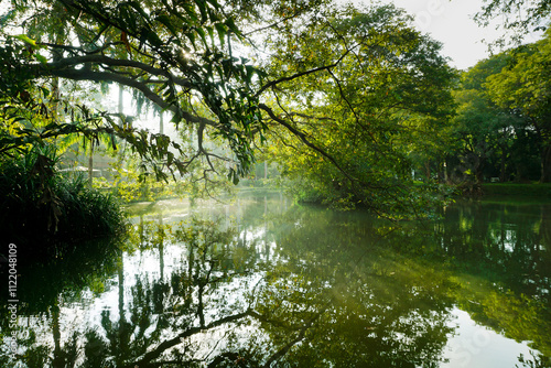 Obraz na płótnie Enchanting pond surrounded by lush greenery and overhanging branches in a serene natural setting, capturing the peaceful beauty of Sri Lanka's tropical landscape. w salonie