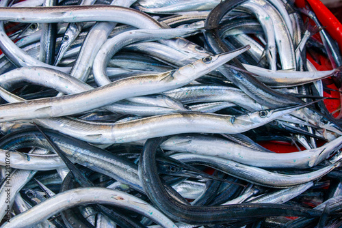 Garfish. After catch, fish are sold in the market. photo