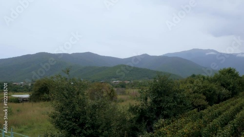 Vineyard in Kakheti Georgia with mountains in the background