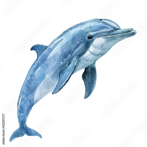 A watercolor vector of a Dolphin, isolated on a white background. Dolphin vector.