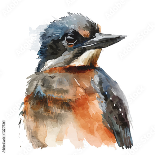 A watercolor vector of a Kingfisher, isolated on a white background. Kingfisher vector. photo