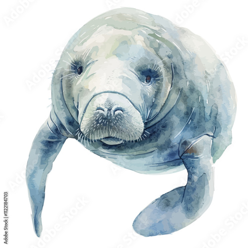 A watercolor painting of a Manatee, isolated on a white background. Manatee vector.