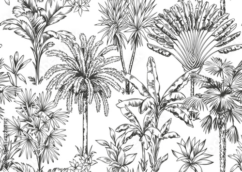 Tropical Hawaiian seamless pattern with palm trees. Botanical foliage monochrome background. Linear style. Vector illustration. Black and white hand drawn sketch.