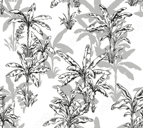 Tropical Hawaiian seamless pattern with palm trees. Botanical foliage monochrome background. Linear style. Vector illustration. Black and white hand drawn sketch.