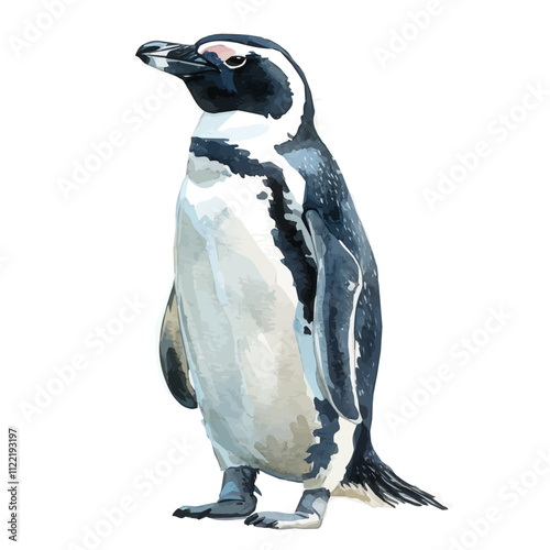 A watercolor of a Penguin, isolated on a white background. Penguin vector.