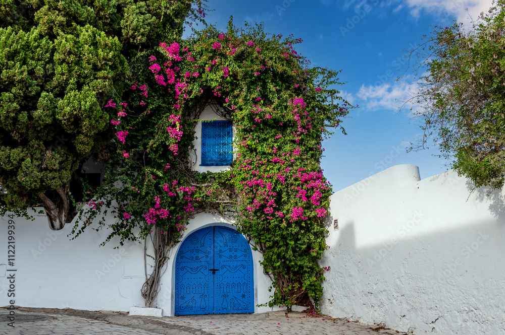 Fototapeta premium Beautiful small town in the north of Tunisia
