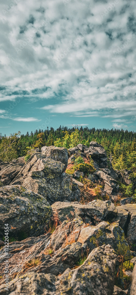 Obraz premium Jeseniky rock mountains Czechia