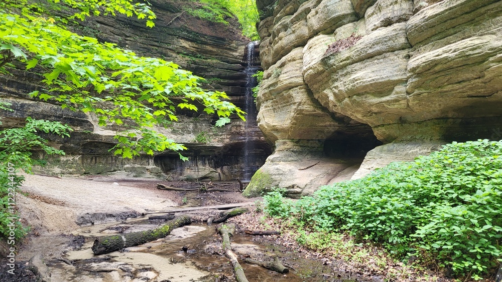 Obraz premium Forest Waterfall