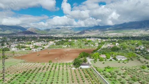 View of Olive groves and fields from a drone over Road E45, Castrovillari, Cosenza, Calabria, Italy, Europe photo