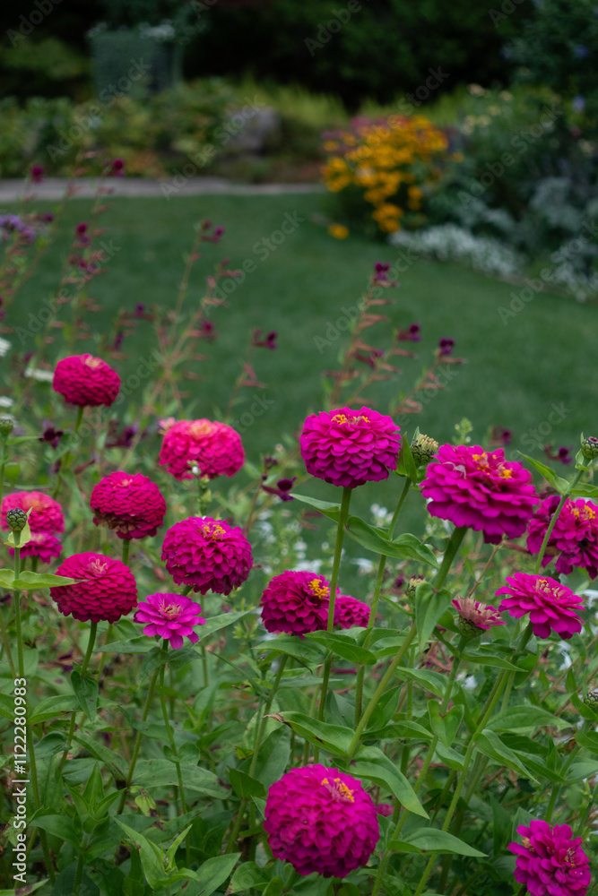 Obraz premium Asticou Garden Flowers