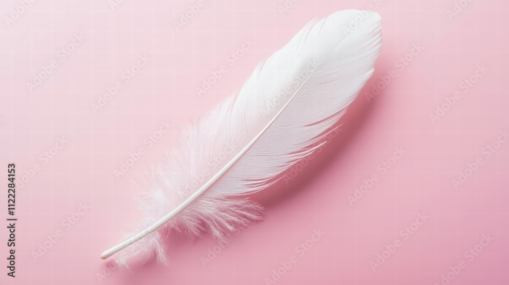 Obraz premium Delicate White Feather on Soft Pink Background for Creative Projects
