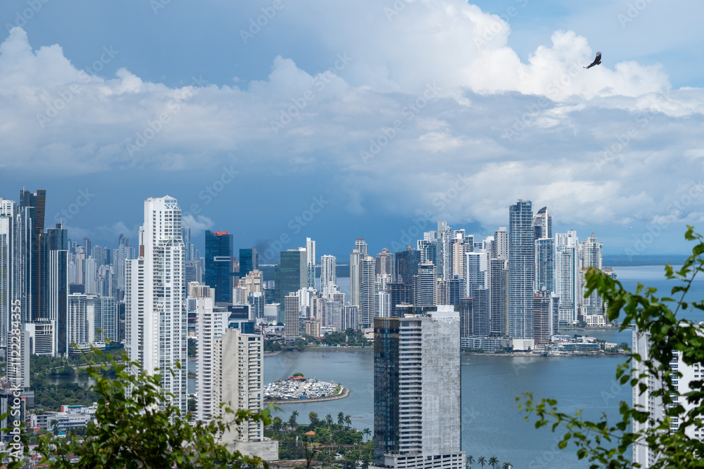 Obraz premium Panama City skyline